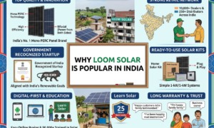 Loom Solar